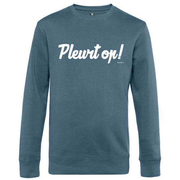 010 CASUALS SWEATER PLEURT OP! nordic blue